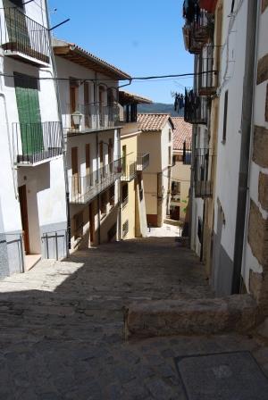 Morella 22